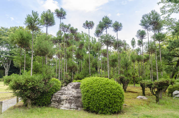 36 - Kyoto - castillo de Nijo